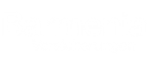 bs-partner-03