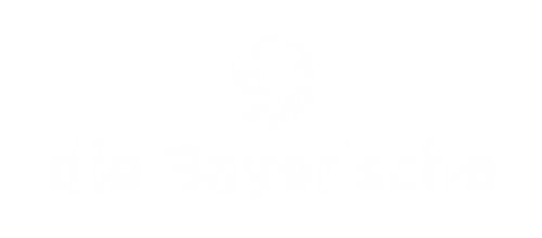 bs-partner-07